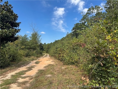 909 Wiregrass Rd, Hamlet, NC 28345 - photo 6