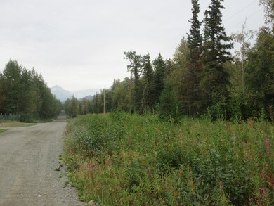 Teresa Drive