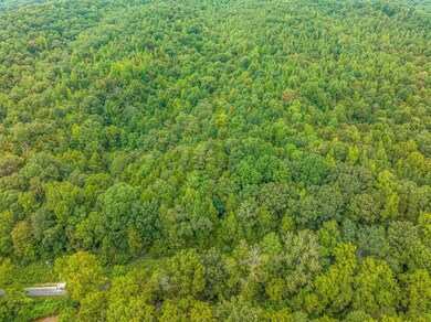 0 Hurricane Creek Rd unit RTC2567453, Linden, TN 37096 - photo 6