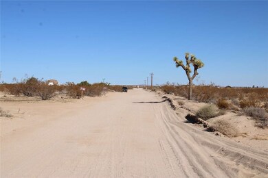 3465 Porter Blvd, Joshua Tree, CA 92252 - photo 7