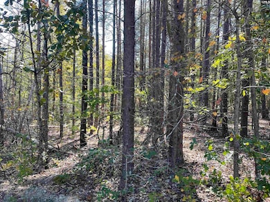 1809 Louise Ct, Lugoff, SC 29078 - photo 4