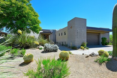 Lush Desert Landscape