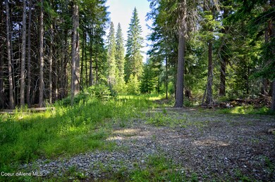 Cleared building site