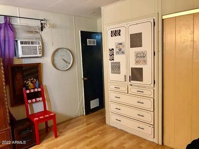 MASTER BEDROOM CLOSETS AND STORAGE AP243