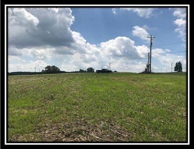 10177 Rankin Rd, Glenford, OH 43739 - photo 7