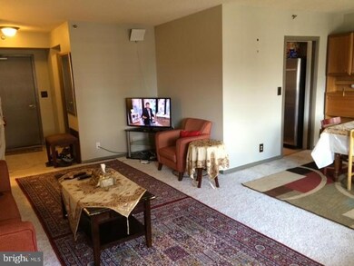 5501 Seminary Rd unit 1603S, Baileys Crossroads, VA 22041 - photo 6