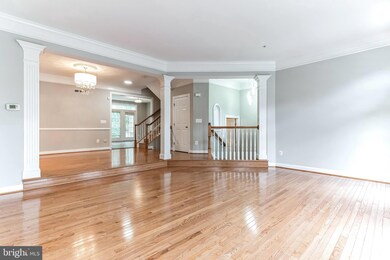 12457 Rose Path Cir, Fairfax, VA 22033 - photo 4