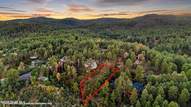 3-Aerial 2 Lot Lines