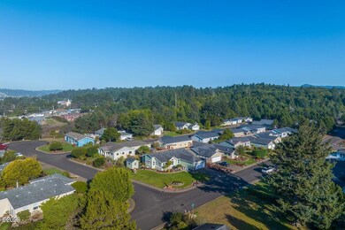 Aerial with forest