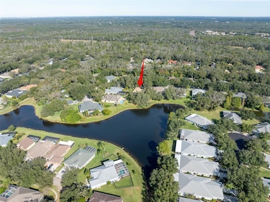 15015 Eaglerise Dr, Lithia, FL 33547 - photo 4