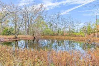 11384 Farm To Market 859, Wills Point, TX 75169 - photo 6