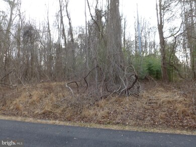 0 Sunrise Green-Caisson Dr unit VAFX1096716, Fairfax, VA 22030 - photo 7