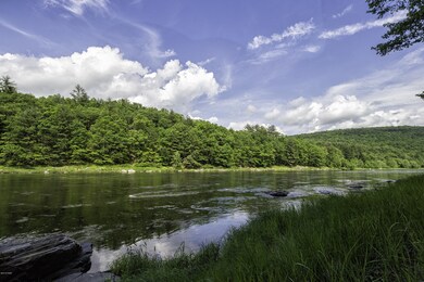 141 & 142 Mountain Top Rd, Lackawaxen Township, PA 18435 - photo 4