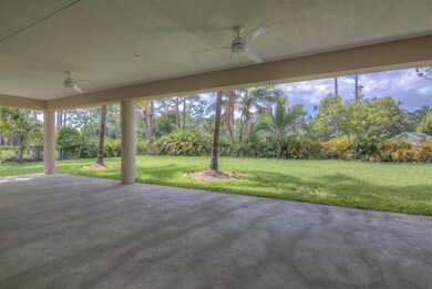 Backyard_3
