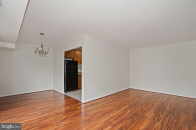 6139 Leesburg Pike unit 402, Baileys Crossroads, VA 22041 - photo 5