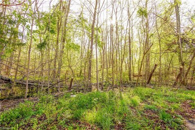 Sunshine rains down on this 3.95 acre parcel.