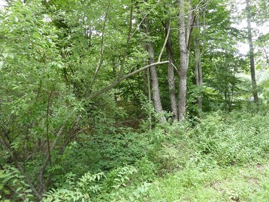 Mostly Wooded
