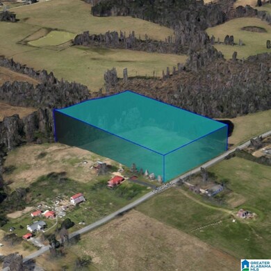 0 Pine St unit 21437255, Albertville, AL 35950 - photo 3