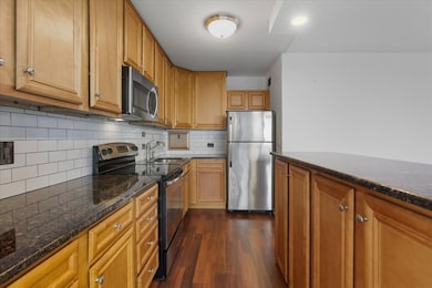 3900 N Lake Shore Dr unit 17G, Chicago, IL 60613 - photo 2