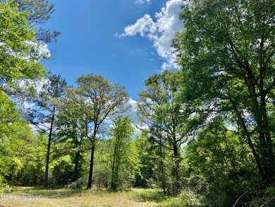 1 Basin Refuge Rd, Lucedale, MS 39452 - photo 5