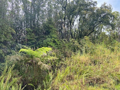 0 Road 4 unit 724078, Volcano, HI 96785 - photo 5