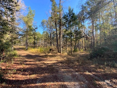 10 Drinkard Rd, Bay Minette, AL 36507 - photo 2