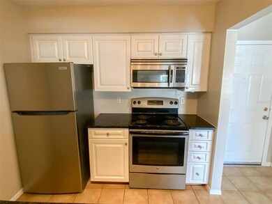 1000 W Horatio St unit 311, Tampa, FL 33606 - photo 3