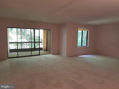 6350 Red Cedar Place unit 302, Baltimore, MD 21209 - photo 6