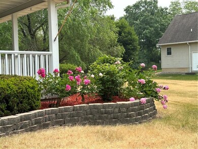 many perennials around house