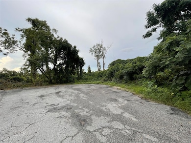 TBD Hickory Track Dr, Silver Springs Shores, FL 34472 - photo 3