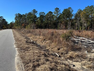 940 Fauling Rd, Saint Stephen, SC 29479 - photo 4