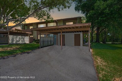 41-web-or-mls-DSC04364a