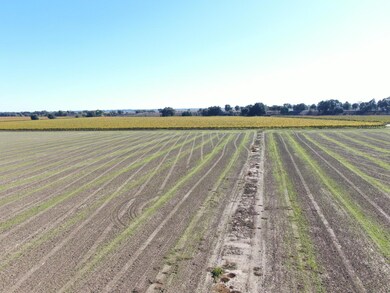 50725 Babel Slough Rd, Clarksburg, CA 95612 - photo 5