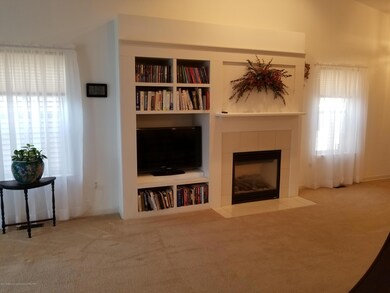 Gas Fireplace