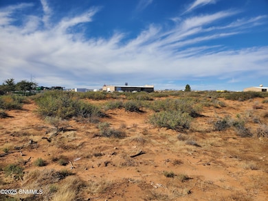 8851 Trigg Loop, Las Cruces, NM 88007 - photo 5
