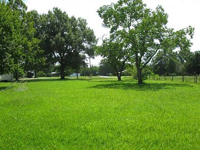 Land/Lot. View from back