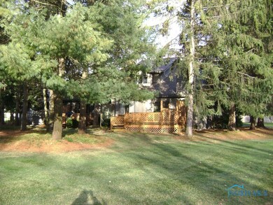 Back yard w/pine trees