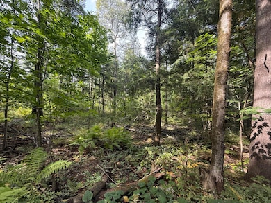 0 Oconnell Rd, Constable, NY 12926 - photo 5