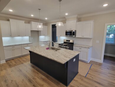 310 Saddletree Rd, Oxford, NC 27565 - photo 4