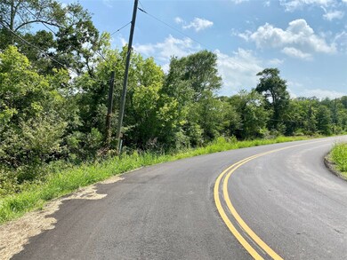 0 Ramble Wood Dr unit 82524722, Brazoria, TX 77422 - photo 6