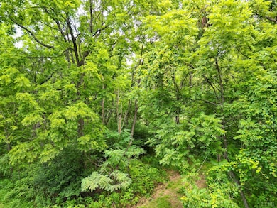 0 Elkton Farm Rd, Forest, VA 24551 - photo 7