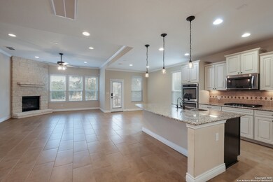 10643 Hibiscus Cove, Helotes, TX 78023 - photo 5