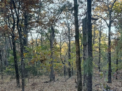 Tbd Bengal Rd, Talihina, OK 74571 - photo 2