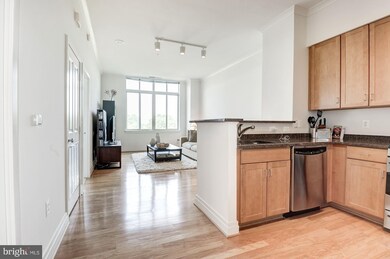 4490 Market Commons Dr unit PH-07, Fairfax, VA 22033 - photo 4