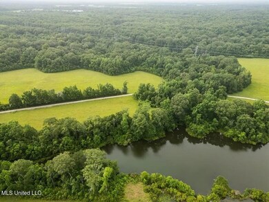 299 W Mount Pleasant Zachary Rd, Zachary, LA 70791 - photo 7