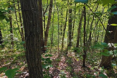 Diamond Dr, Cushing, MN 56443 - photo 6