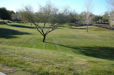 Community Greenbelt
