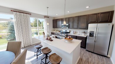 113 Ellis Rd, Algonquin, IL 60102 - photo 3