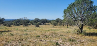 Tract 6 Lehne Loop, Buchanan Dam, TX 78609 - photo 5