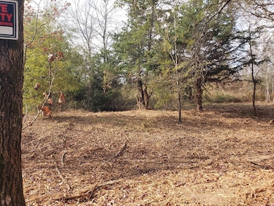 TBD 10.097 ac County Road 1552, Long Branch, TX 75669 - photo 6